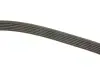 Ремень поликлиновой DAYCO 6PK2000 (фото 3)
