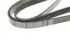 Ремень поликлиновой DAYCO 6PK2000 (фото 4)