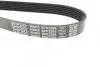 Ремень поликлиновой DAYCO 6PK2285 (фото 2)
