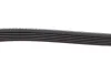 Ремень поликлиновой DAYCO 6PK2404 (фото 4)