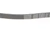 Ремень поликлиновой DAYCO 6PK905S (фото 4)