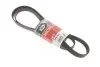 Ремінь генератора клиновий GATES 6PK1845