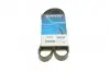 Ремень поликлиновой 6PK1381 DAYCO
