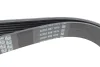 Ремень поликлиновой DAYCO 7PK1103 (фото 3)