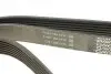 Ремень поликлиновой DAYCO 7PK1790 (фото 3)