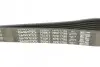 Ремень поликлиновой DAYCO 7PK1790 (фото 4)