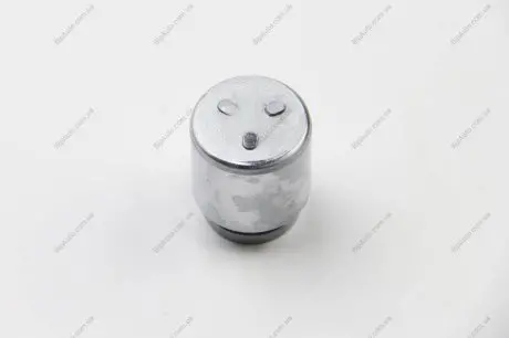 Поршень суппорта AUTOFREN D025253