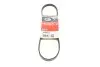 Ремень поликлиновой 4PK813 GATES