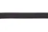 Ремень поликлиновой DAYCO 6PK875 (фото 3)