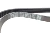 Ремень поликлиновой DAYCO 6PK975 (фото 3)