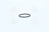 Опорное кольцо F00RJ00220 BOSCH