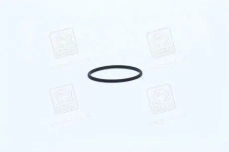 Опорне кільце BOSCH F00RJ00220 (фото 1)