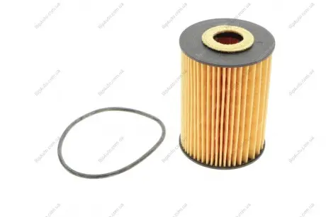 Фільтр масляний RENAULT MASTER, MASCOTT 3.0 DCI 04-10 (HENGST) HENGST FILTER E69H D81