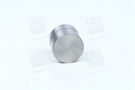 Гідрокомпенсатор INA 420005910