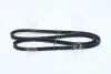 Ремень клиновой DAYCO 10A1250C (фото 3)