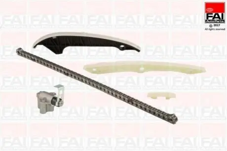 Комплект цепи ГРМ FAI TCK174NG
