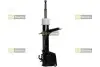 Амортизатор підвіски STARLINE TL C00067.2 TL C00067.2