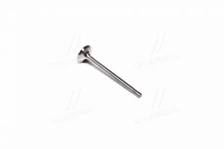 Клапан випускний EX VAG BCA/BLP/ARC/BLF/BKG/BBY/AJV/BLG/ATN/CAVA/CAXA/CAXC 26X6X100.6 (KS) KOLBENSCHMIDT 39523