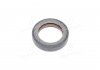 Уплотняющее кольцо, коленчатый вал; Уплотняющее кольцо, распределительный вал Payen NA5124 (фото 2)