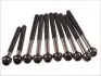 Болт головки блока (компл.) FORD1.8TDCI C9DA/C9DB/C9DC/FFDA/BHPA/HCPA/HCPB (пр-во Elring) 027.850