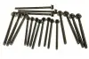 Болт головки блока (компл.) PSA/FORD 2.2 HDI 4HU/4HV/P8FA/P8FB/QVFA/QWFA (пр-во Elring) 733.100
