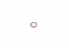 Прокладка, корпус форсунки; Уплотнительное кольцо, шахта форсунки BOSCH F 00V P01 008 (фото 2)