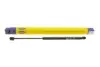 Амортизатор багажника HYUNDAI Santa Fe II (пр-во Magneti Marelli кор.код. GS0985) 430719098500
