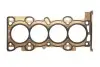 Прокладка головки блока FORD MONDEO 2.0 16V AODA/AODB/N4JB 00- (пр-во Elring) 255.070