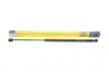 Амортизатор багажника RENAULT Scenис (пр-во Magneti Marelli кор.. GS0891) 430719089100