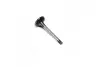 Клапан впускной  IN VAG 1.9D/2.4D 1Y/AAS/AAB/AGP 36*8*95,1 (пр-во Mopart) 19-56003