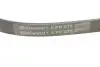 Ремень поликлин. DAEWOO LANOS седан (KLAT) 1.5 1.6 16V Contitech 5PK875 (фото 4)