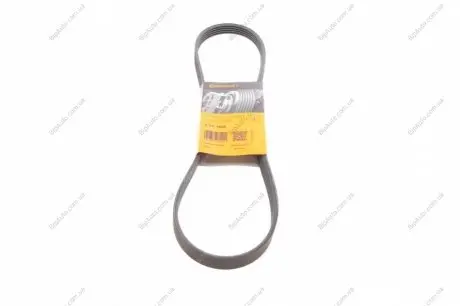 Доріжковий пас Contitech 5PK1005