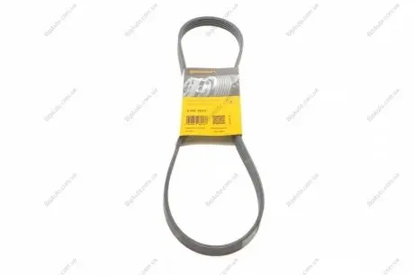 Ремінь генератора Daewoo Lanos/Nexia Contitech 5PK1015