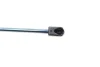 Амортизатор багажника VW Golf V (кор.код. GS0801) MAGNETI MARELLI 430719080100 (фото 5)