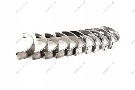 Вкладыши коренные VAG 1.4/1.6 16V AFK/AKQ/AEE/AZD/BCA/BLP (KS) KOLBENSCHMIDT 77534600