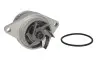 Водяной насос SKODA OCTAVIA I (1U2), 09/96 - 12/10 1.6 (Пр-во INA) 538 0031 10
