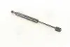 Амортизатор багажника AUDI (пр-во Magneti Marelli кор.код. GS0103) 430719010300