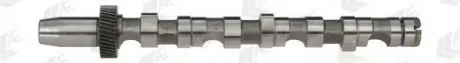 Розподільний вал VAG 2.5TDI AKN/AFB/AKE/AYM/BFC IN (CYL 4-6) AE CAM701