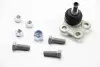 Опора шаровая NISSAN, OPEL, RENAULT передн. ось (пр-во Lemferder) 30773 01