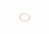 Уплотнительное кольцо, резьбовая пробка VICTOR REINZ 41-72065-30 (фото 1)