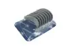 Вкладыши шатунные VAG STD 1.6 16V ANA/AVU/ARM/BFQ 98-(пр-во KS) 77552600