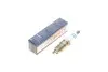 Свеча зажигания HR6DPP33V DOUBLE PLATINUM (FORD) (пр-во BOSCH) 0242240620