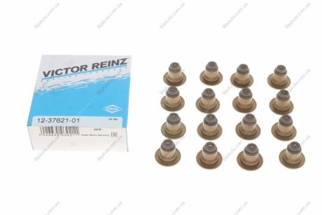 Комплект сальників клапанів REINZ VICTOR REINZ 12-37621-01