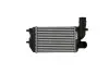 Інтеркулер FT DUCATO(94-)1.9 TD(+)[OE 0384.E4] 96889 NISSENS