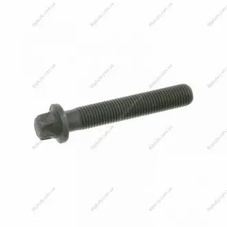 Болт шатуна(з шліцем типу Torx) FEBI BILSTEIN 24431