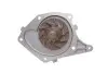 Водяний насос + комплект зубчатого ременя SKF VKMC 06134-1 (фото 6)