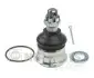 Опора шарова  NISSAN PICK-UP (KING-CAB) J4861023 NIPPARTS