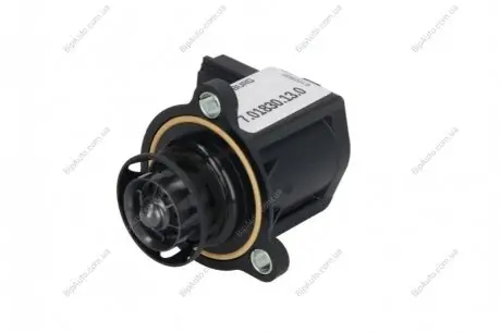 Клапан контролю електричний PIERBURG 7.01830.13.0 (фото 1)