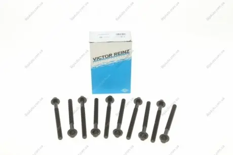 Комплект болтов головки цилидра VICTOR REINZ 14-32230-01