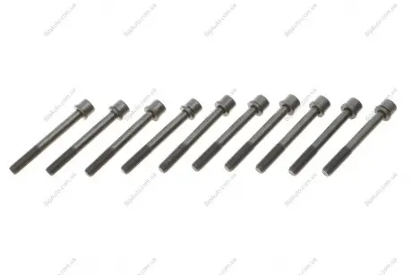 Комплект болтів головки циліндрів VICTOR REINZ 14-32160-01